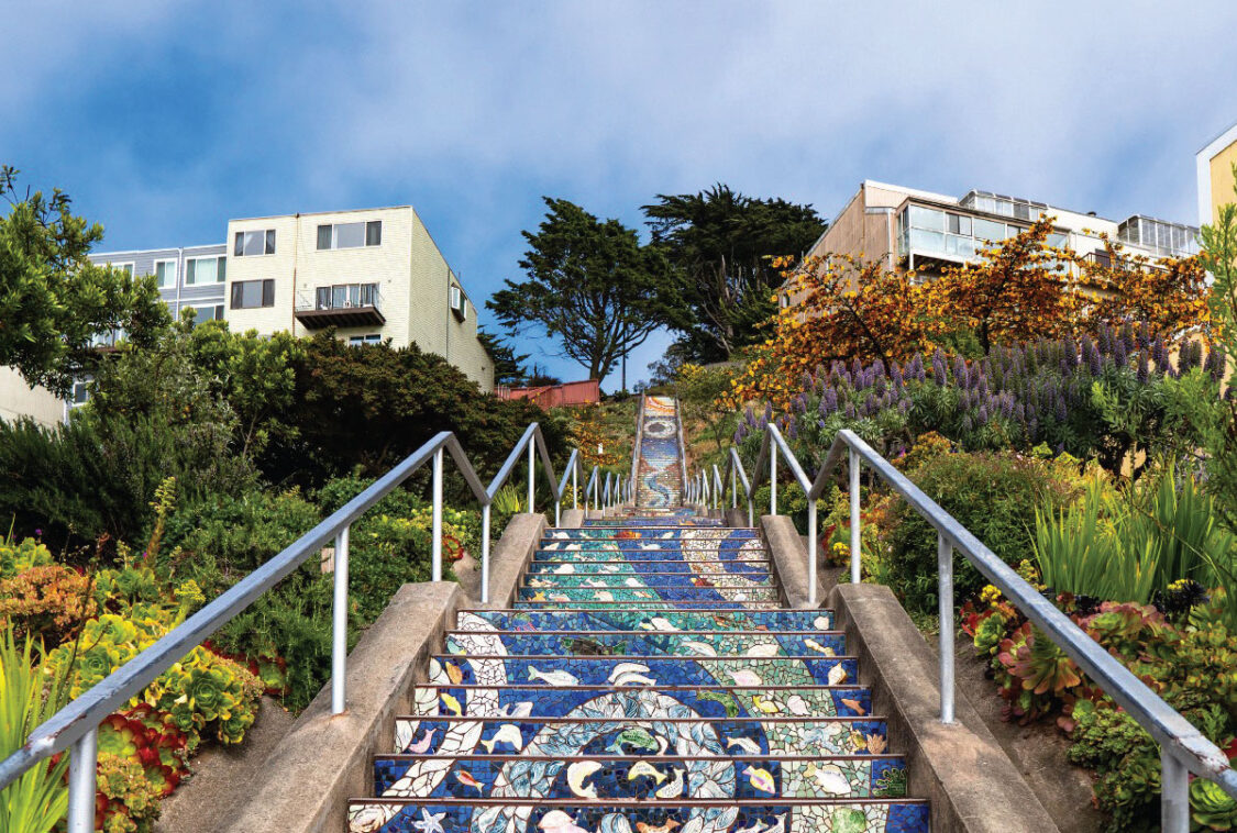 smart sf cameras